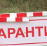 Управлением Россельхознадзора в рамках фитосанитарного мониторинга упразднено 13 карантинных зон - Россельхознадзор