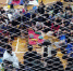 Сегодня вечером оставшиеся 622 уроженца Киргизии покинут Башкирию по транзитному коридору - UfaCityNews.Ru