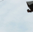 gromko - News102.Ru
