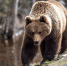 unnamed (3) - News102.Ru
