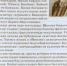 Стихи башкирской поэтессы Ларисы Абдуллиной опубликованы в балкарском журнале - Союз журналистов