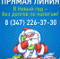 Внимание, прямая линия! - Сетевое издание Ufaved.Info