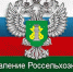 В Республике Башкортостан пресечена попытка незаконного вывоза партии масличного льна - Россельхознадзор