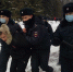 Шествие за свободу в Уфе - Яблоко