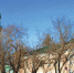новости.jpg - Комитет по делам ЮНЕСКО