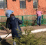 В Дёмском районе Уфы проходит масштабный общегородской субботник - Администрация городского округа Уфа