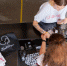 emergency - News102.Ru