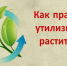 Растительные отходы нельзя складировать в неотведенных для этого местах - Администрация городского округа Уфа