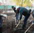 В Уфе продолжается благоустройство сквера по улице Степана Злобина - Администрация городского округа Уфа