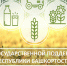 В Минсельхозе РБ актуализировали инструкции по господдержке АПК - Правительство Республики Башкортостан
