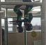 E8hXxar6GjI.jpg - Федерация парашютного спорта