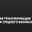 Минцифры России сообщило о запуске нового механизма поддержки малого и среднего бизнеса - Уфимский район
