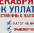 Срок для своевременной оплаты физическими лицами имущественных налогов, указанных в налоговых уведомлениях за 2020 год, истекает 1 декабря - Администрация городского округа Уфа