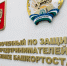 Предпринимателей Башкортостана приглашают пройти опрос по проблемам развития бизнеса и защиты прав предпринимателей - Правительство Республики Башкортостан