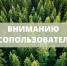 Важная информация для лесопользователей - Министерство лесного хозяйства