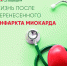 Жизнь после перенесенного инфаркта миокарда - ГБУЗ РКЦ
