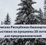 Минлесхоз Республики Башкортостан выставил на аукционы 20 лотов для предпринимателей - Министерство лесного хозяйства