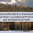 Минлесхоз Республики Башкортостан выставил на аукционы 9 лотов для предпринимателей - Министерство лесного хозяйства