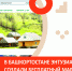 В Башкортостане энтузиасты создали бесплатный маркетплейс для предпринимателей - Правительство Республики Башкортостан