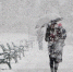 shtorm - News102.Ru