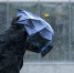 shtorm - News102.Ru