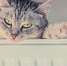 otoplenie - News102.Ru