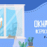 Вырази любовь к стране – прими участие в акции #ОкнаРоссии - Администрация городского округа Уфа