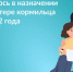 Что изменилось в назначении пенсий по потере кормильца с 1 июня 2022 года - Администрация городского округа Уфа