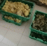 Птицеводческое предприятие из Башкирии получило право на экспорт своей продукции - Россельхознадзор