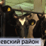 В Балтачевском районе прошел сельскохозяйственный семинар по кормозаготовке | ГТРК «Башкортостан» - ГТРК Башкортостан