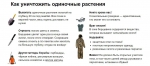 Борщевик