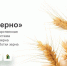 Вниманию участников зернового рынка! - Россельхознадзор