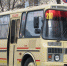 bus - News102.Ru
