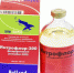 Управление Россельхознадзора по РБ - Башинформ