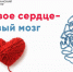 здоровый мозг - ГБУЗ РКЦ