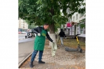 В Советском районе проходит субботник