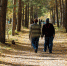 Частичная мобилизация, домашний арест для замглавы и ещё одно дело на Кучарбаева - Mkset.Ru