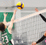 «Уфимочка-УГНТУ» уверенно начала чемпионат Высшей лиги А - ВК Урал