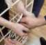 В Башкирии задержали преступную банду, которая вымогала деньги и имущество | ГТРК «Башкортостан» - ГТРК Башкортостан