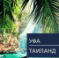 В Уфе восстановят рейсы в Таиланд - Сетевое издание Республика Башкортостан