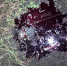 JPEG Файл - МВД РБ