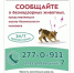 Сообщайте о безнадзорных животных - Город Уфа