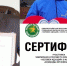 И швец, и жнец - Город Уфа