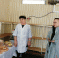 Участниками проекта «Продукт Башкортостана» стали 678 предприятий - Сетевое издание Республика Башкортостан