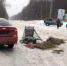 В Бирском районе Башкирии автоледи на Шевроле наехала на гужевую повозку - Newsbash.Ru