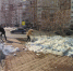 Коммунальщики встречают весну - Город Уфа