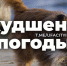 Внимание: усиление ветра - Город Уфа