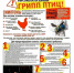 Осторожно! Птичий грипп - Город Уфа