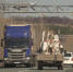 минтранс РБ - Башинформ