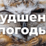 Будет ветрено - Город Уфа